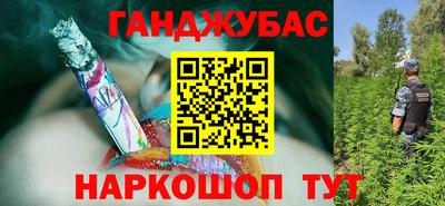 крисы Малгобек