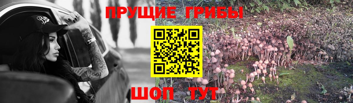 Псилоцибиновые грибы мухоморы Десногорск