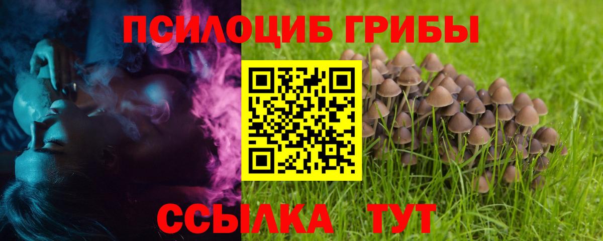 Галлюциногенные грибы GOLDEN TEACHER  Псилоцибиновые грибы Psilocybe  Вход с VPN  Десногорск 